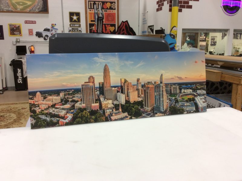 Photo Canvas Print