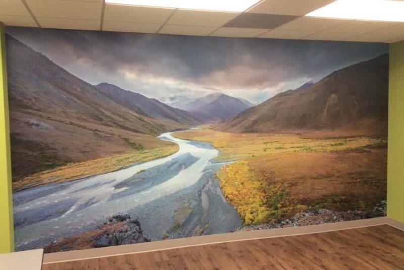 Wall Murals Wall Murals
