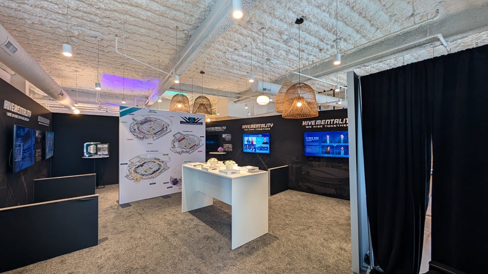 Hornets Graphics in Uptown Charlotte