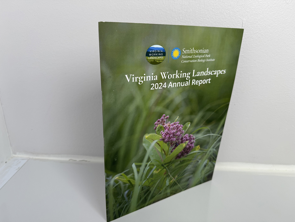 Annual Reports Washington DC printed and mailed with saddle-stitched binding for nonprofits and businesses