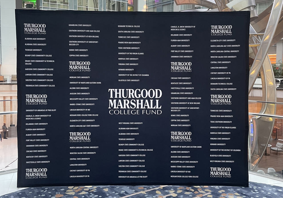 Fabric Backdrops in Silver Spring, MD