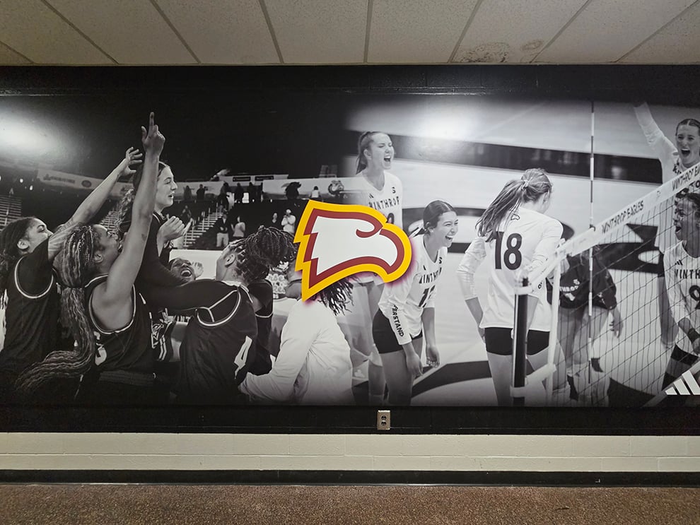 Experiential Graphics in Baltimore, MD designed and installed to brand workplace hallways and collaborative spaces