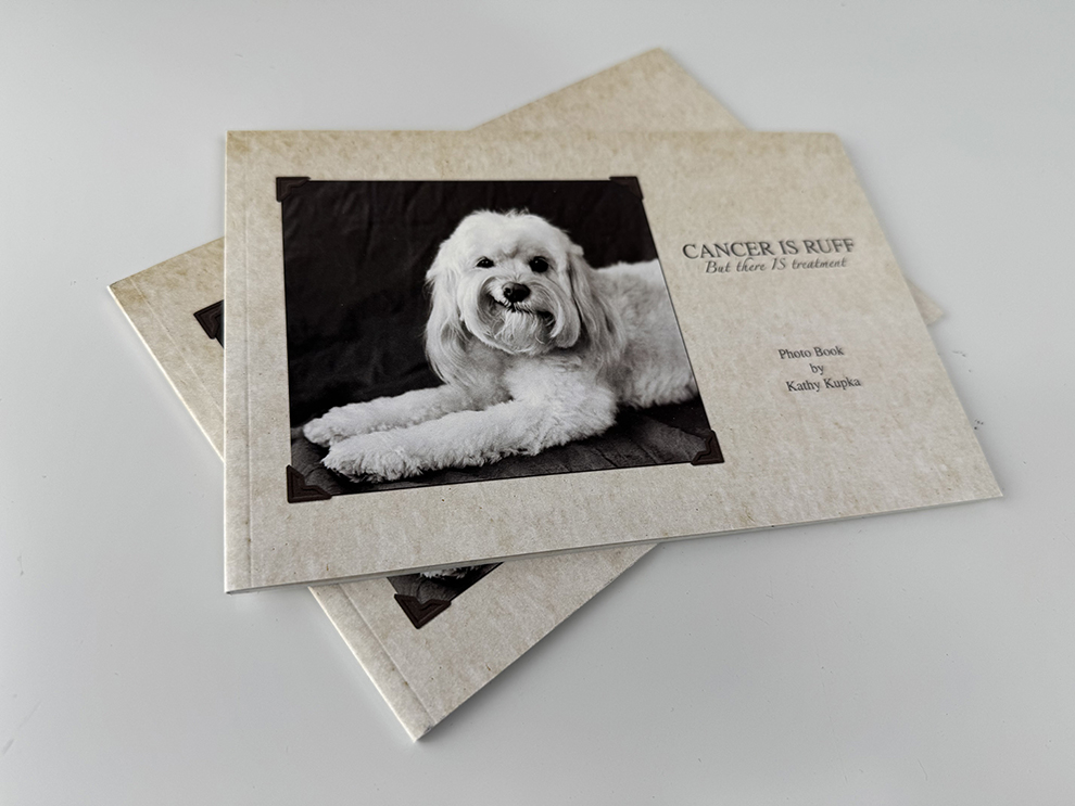 Perfect Bound Books in Washington, DC printed and produced for professional corporate communications