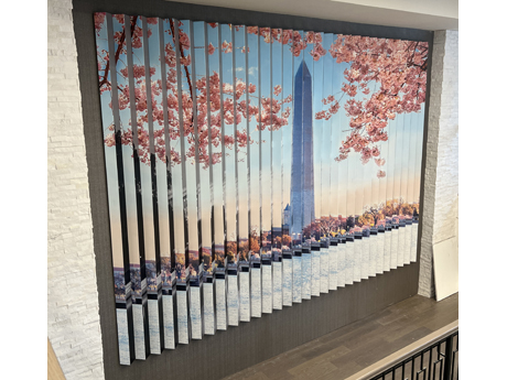 Lenticular Wall Displays in National Harbor, MD