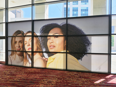Window Graphics in Newport News, VA