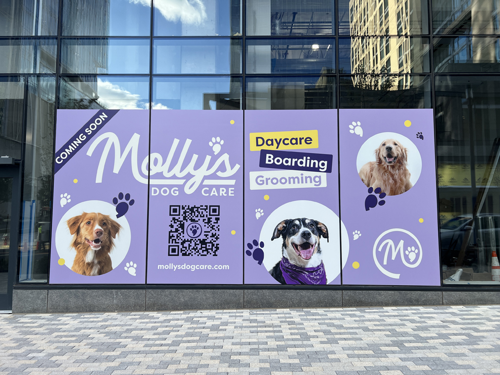 Storefront graphics and window decals designed for office branding McLean, VA
