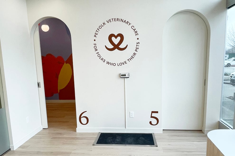 Office and business storefront graphics installed Richmond, VA