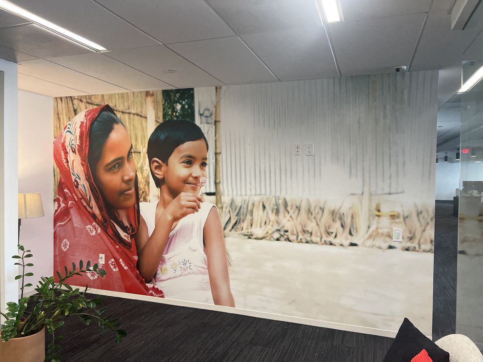 Wall Displays in Waldorf, MD