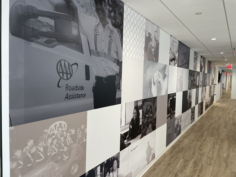 Wall Displays in Waldorf, MD